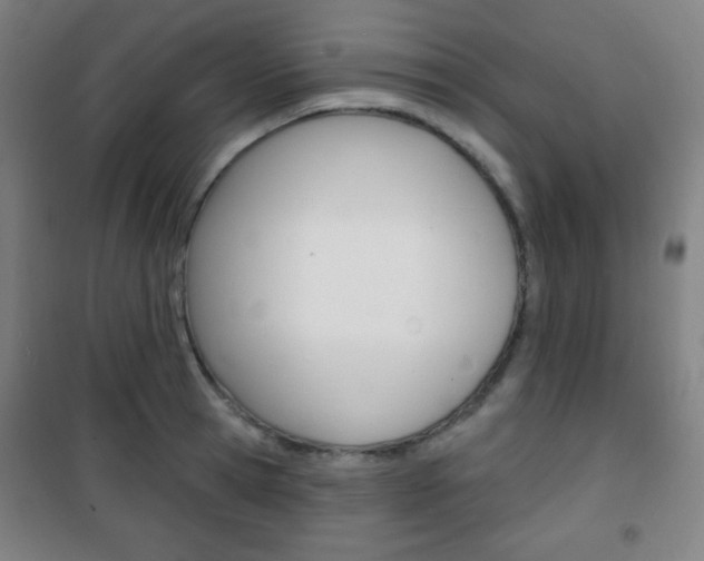 X0000101700945200807101343