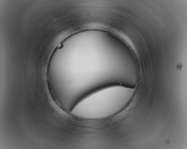 X0000101700946200807101343