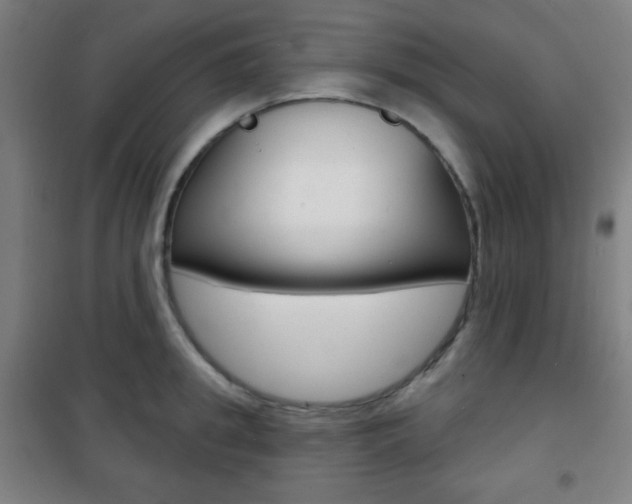 X0000101700949200807101343