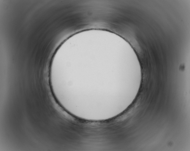 X0000101700950200807101343