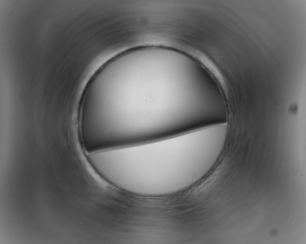 X0000101700951200807101343
