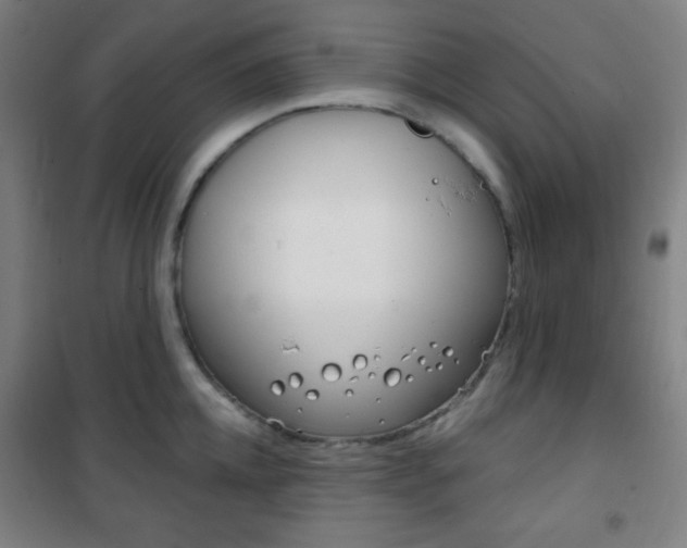 X0000101700952200807101343