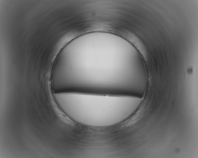 X0000101700954200807101343