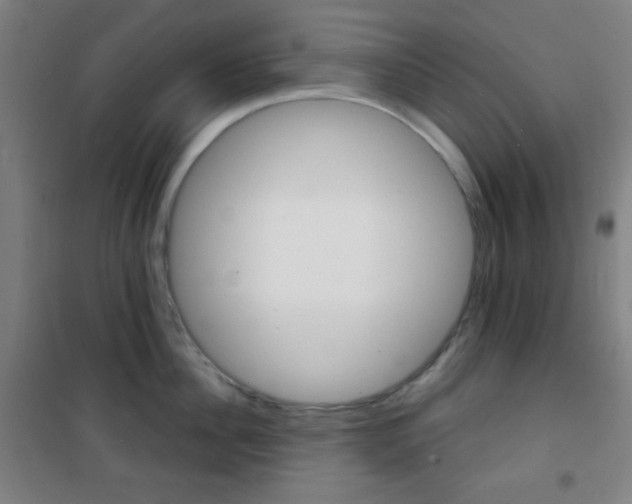 X0000101700956200807101343