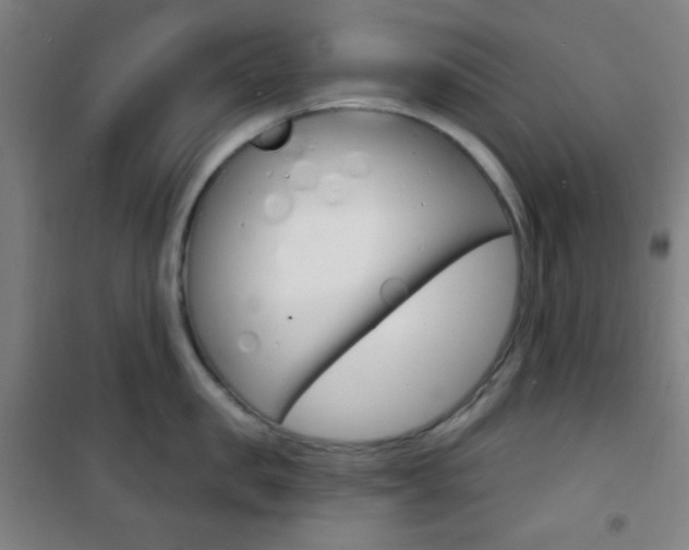 X0000101700957200807101343