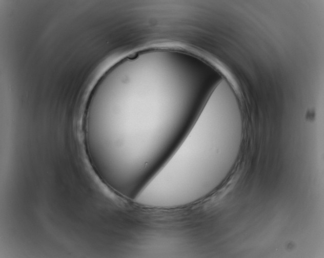 X0000101700959200807101343