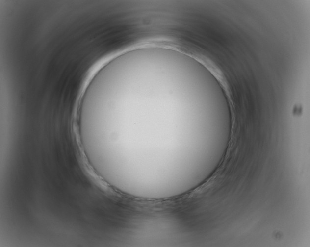 X0000101700960200807101343