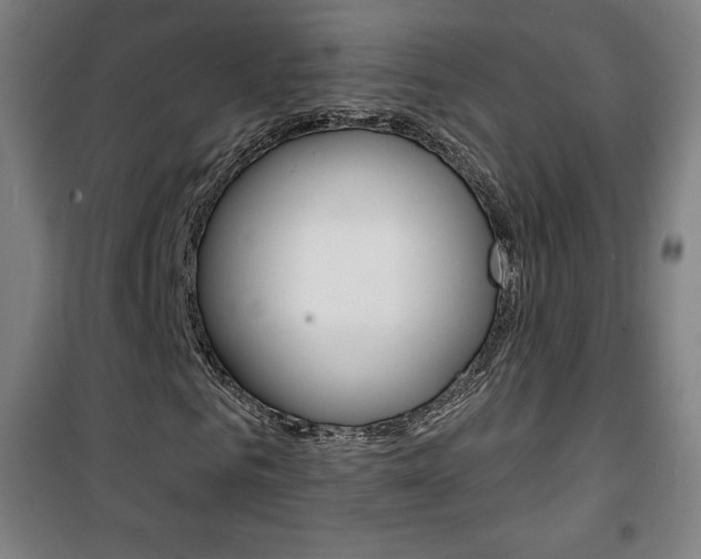 X0000101700961200807101342