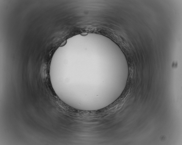 X0000101700962200807101342