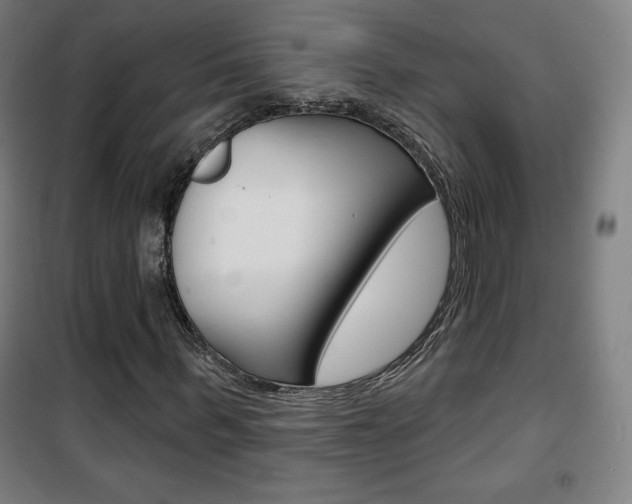 X0000101700963200807101342