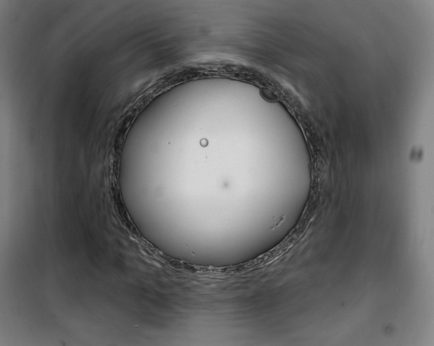 X0000101700965200807101342