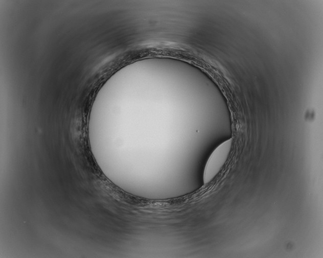 X0000101700966200807101342