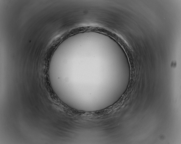 X0000101700967200807101342