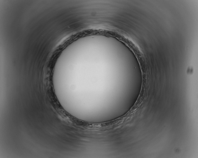 X0000101700968200807101342