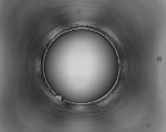 X0000101700969200807101342