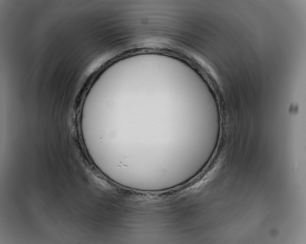 X0000101700970200807101342