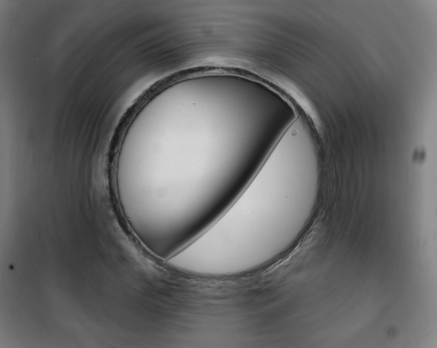 X0000101700972200807101342