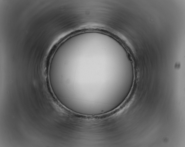 X0000101700973200807101342