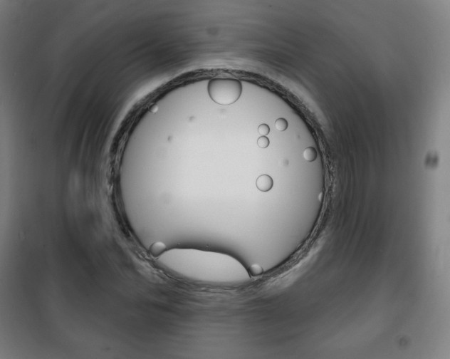 X0000101700974200807101342
