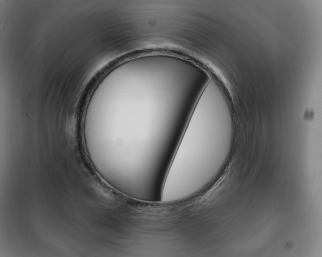 X0000101700975200807101342