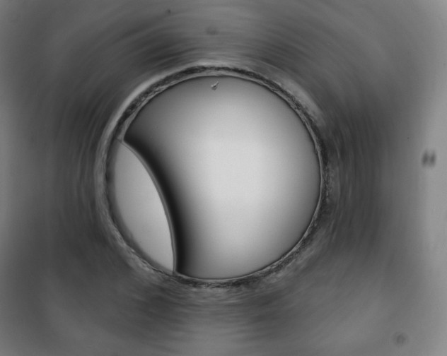 X0000101700976200807101342