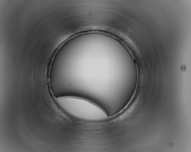 X0000101700977200807101342