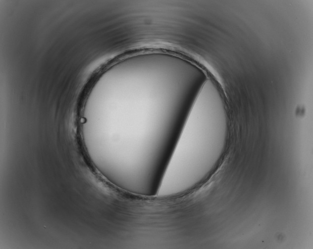 X0000101700979200807101342