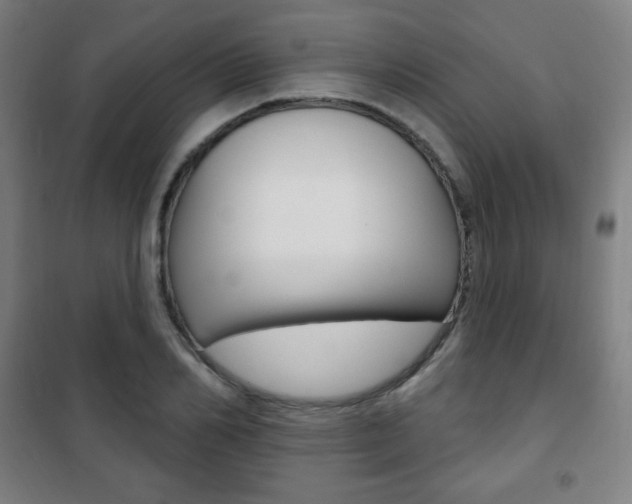 X0000101700982200807101342