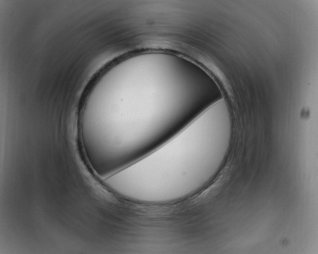 X0000101700984200807101342