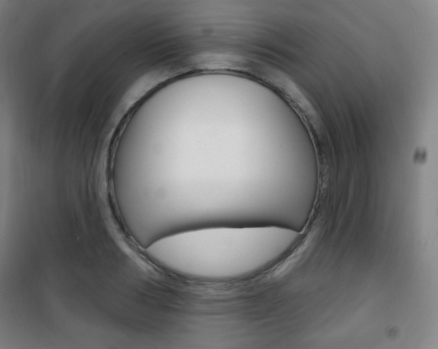 X0000101700986200807101342