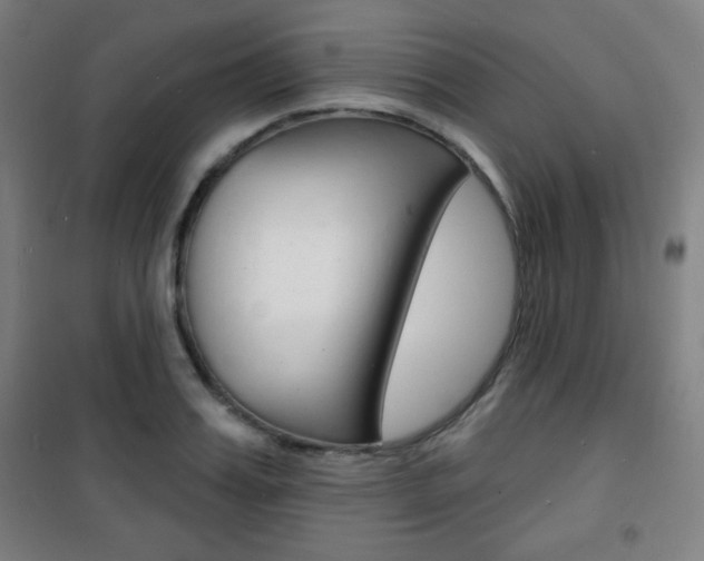 X0000101700987200807101342
