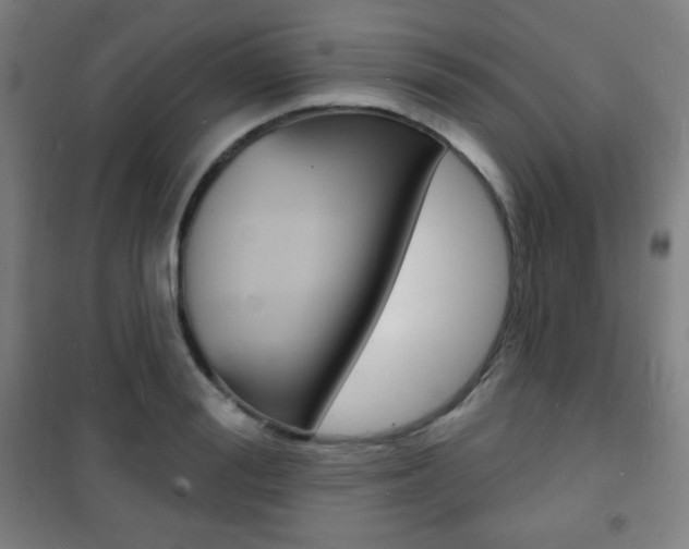 X0000101700988200807101342