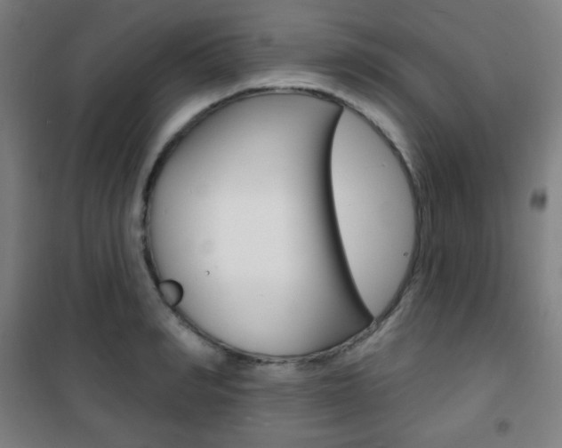 X0000101700990200807101342