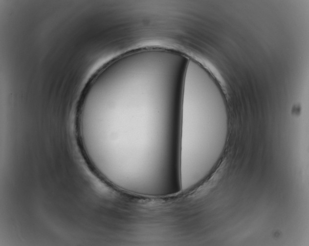 X0000101700991200807101342