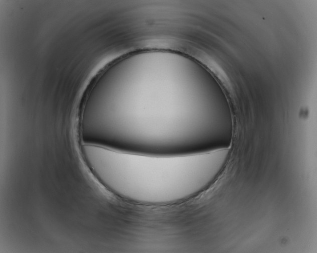X0000101700992200807101342