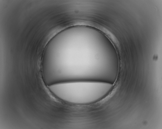 X0000101700993200807101342