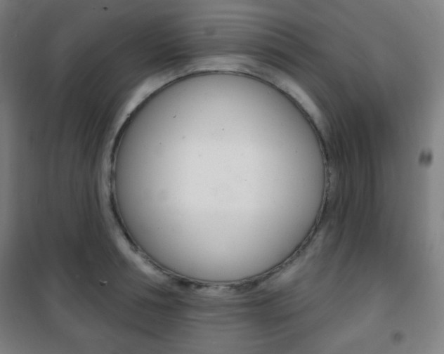 X0000101700994200807101342