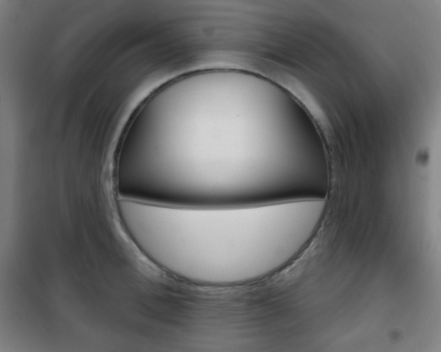 X0000101700996200807101342