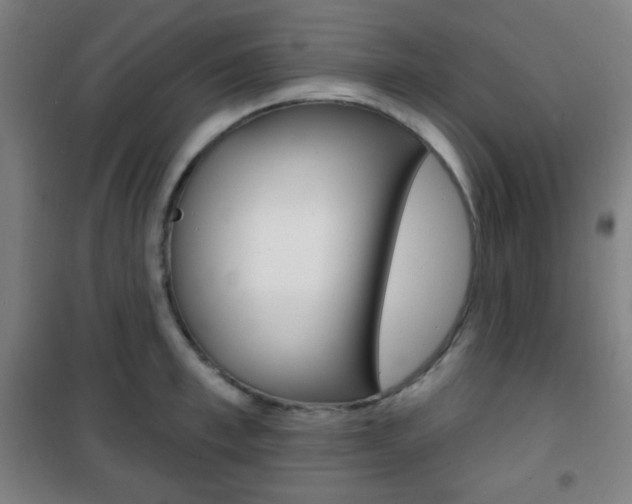 X0000101700997200807101342