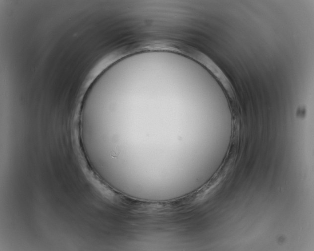 X0000101701002200807101341