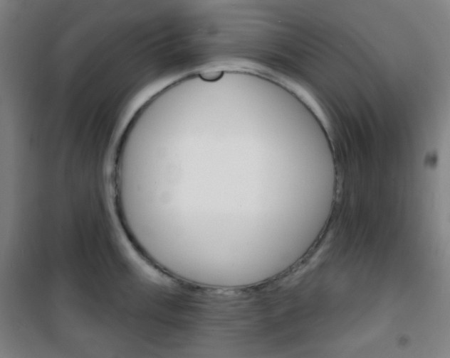 X0000101701003200807101341