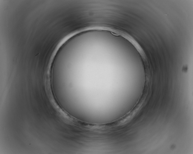 X0000101701004200807101341