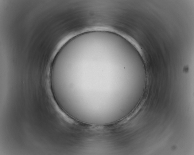 X0000101701006200807101341