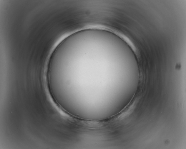 X0000101701007200807101341