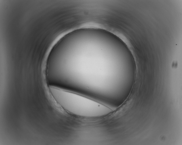 X0000101701008200807101341