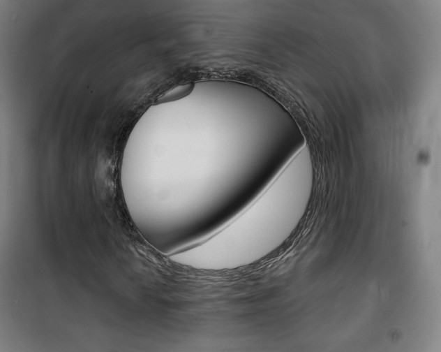 X0000101701010200807101341