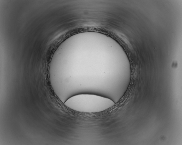 X0000101701015200807101341
