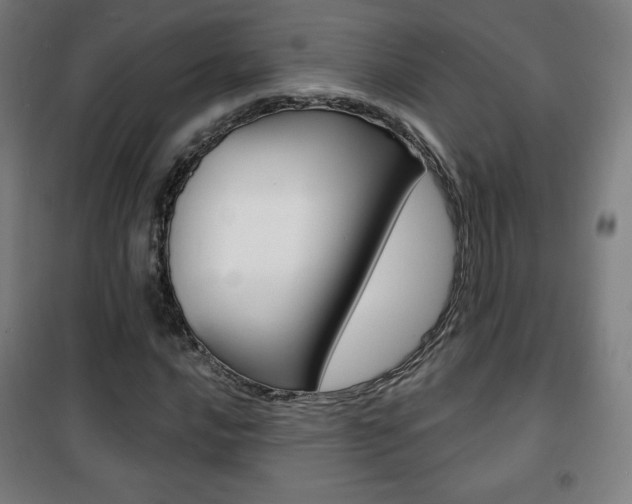 X0000101701016200807101341