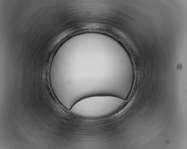 X0000101701017200807101341