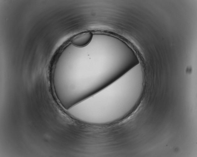 X0000101701022200807101341